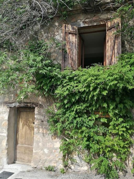 La Maison De La Vigne Bauduen Exteriér fotografie